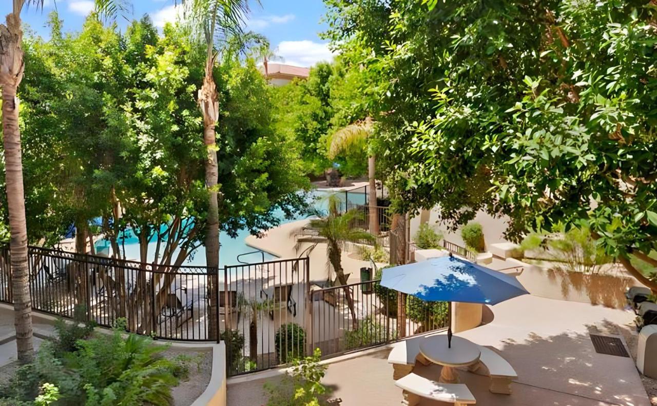 Biltmore Bliss Desert Retreat! Apartment Phoenix
